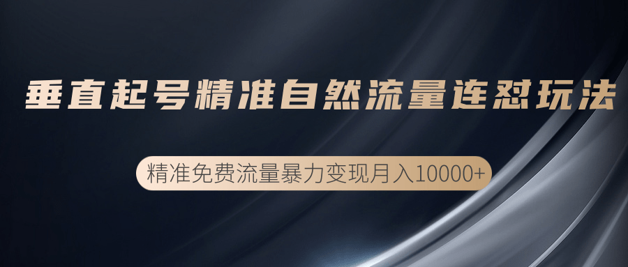 垂直起号精准自然流量连爆玩法，精准引流暴力变现月入10000+-青风社项目库