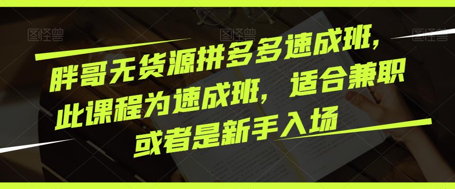 胖哥无货源拼多多速成班，此课程为速成班，适合兼职或者是新手入场-青风社项目库