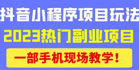 抖音小程序9.0新技巧，2023热门副业项目，动动手指轻松变现-青风社项目库