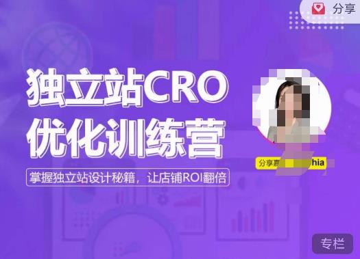 独立站CRO优化训练营，掌握独立站设计秘籍，打造高转化的独立站，让店铺ROI翻倍-青风社项目库