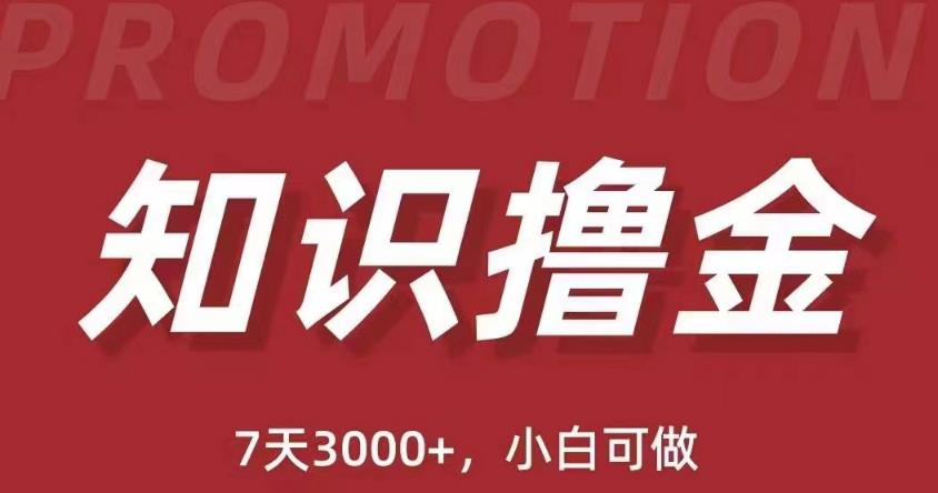 抖音知识撸金项目：简单粗暴日入1000+执行力强当天见收益(教程+资料)-青风社项目库