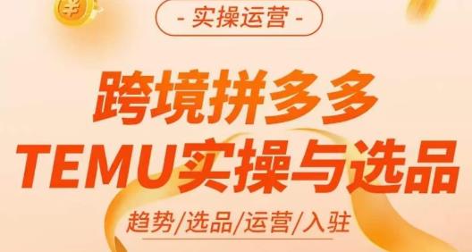 伍跃·跨境拼多多TEMU实操与选品，​趋势/选品/运营/入住（27节完整）-青风社项目库