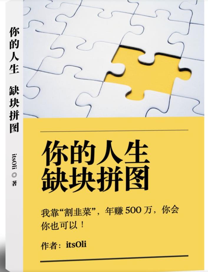 某高赞电子书《你的人生，缺块拼图——我靠“割韭菜”，年赚500万，你会你也可以》-青风社项目库