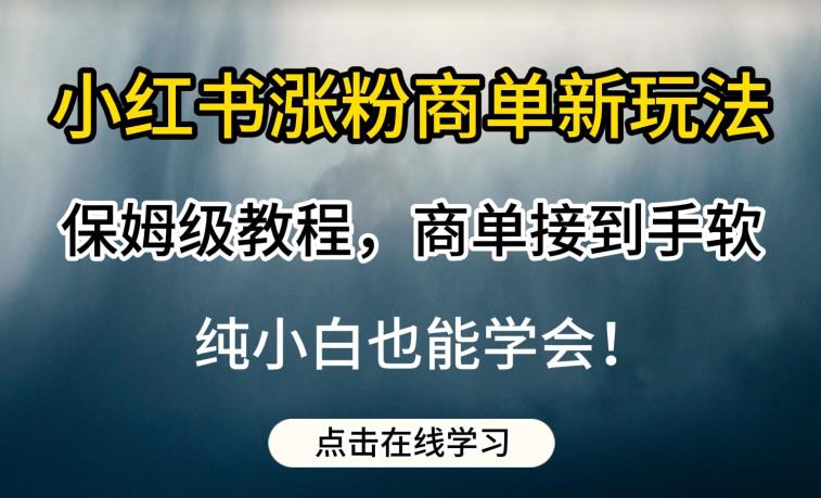 小红书涨粉商单新玩法，保姆级教程，商单接到手软，纯小白也能学会【揭秘】-青风社项目库