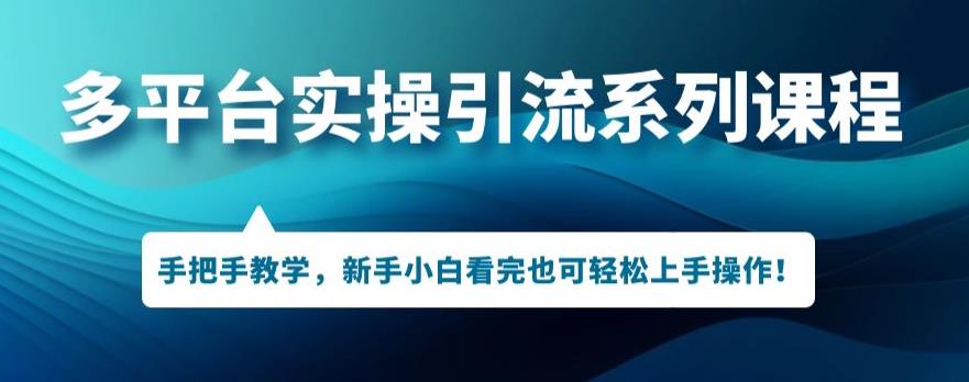 多平台引流实操系列课程，新手小白看完也可轻松上手进行引流操作-青风社项目库