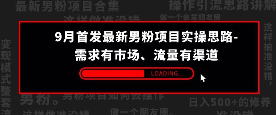 9月首发最新男粉项目实操思路-需求有市场，流量有渠道【揭秘】-青风社项目库