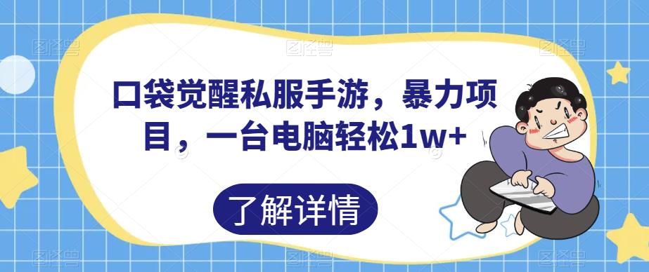 口袋觉醒私服手游，暴力项目，一台电脑轻松1w+【揭秘】-青风社项目库