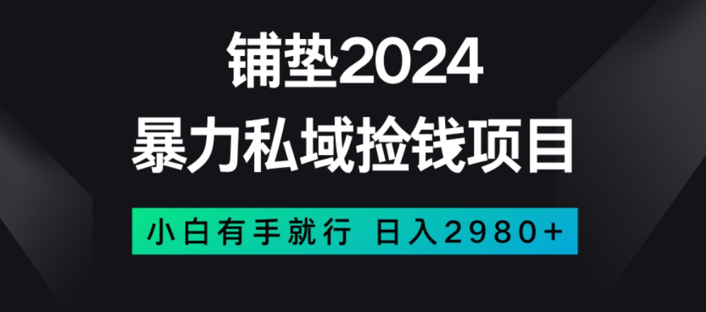 暴力私域捡钱项目，小白无脑操作，日入2980【揭秘】-青风社项目库