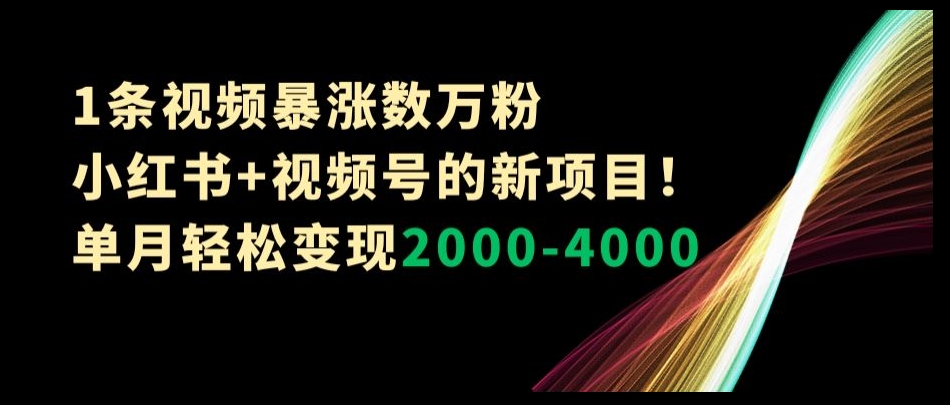 1条视频暴涨数万粉–小红书+视频号的新项目！单月轻松变现2000-4000【揭秘】-青风社项目库