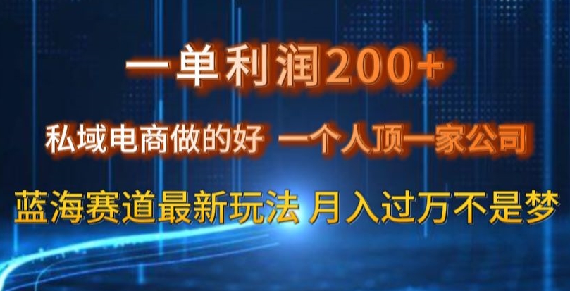 一单利润200私域电商做的好，一个人顶一家公司蓝海赛道最新玩法【揭秘】-青风社项目库