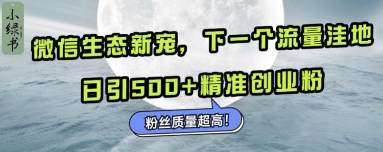 微信生态新宠小绿书：下一个流量洼地，日引500+精准创业粉，粉丝质量超高-青风社项目库