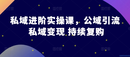 私域进阶实操课，公域引流 私域变现 持续复购-青风社项目库