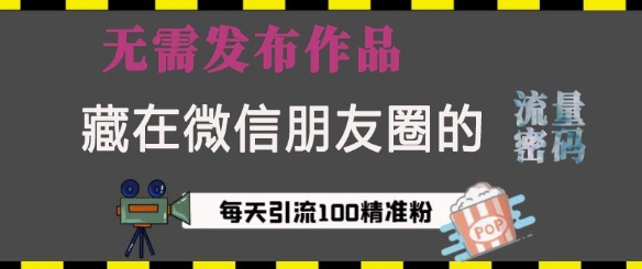 藏在微信朋友圈的流量密码，无需发布作品，单日引流100+精准创业粉【揭秘】-青风社项目库