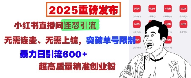 2025重磅发布：小红书直播间连怼引流，无需连麦、无需上镜，突破单号限制，暴力日引流600+-青风社项目库