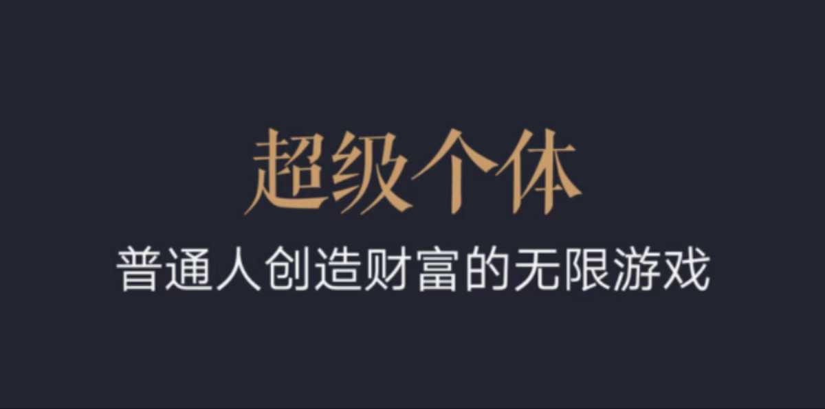 超级个体：2024-2025翻盘指南，普通人创造财富的无限游戏-青风社项目库