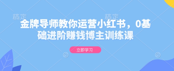 金牌导师教你运营小红书，0基础进阶赚钱博主训练课-青风社项目库