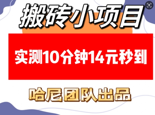 搬砖小项目，实测10分钟14元秒到，每天稳定几张(赠送必看稳定)-青风社项目库